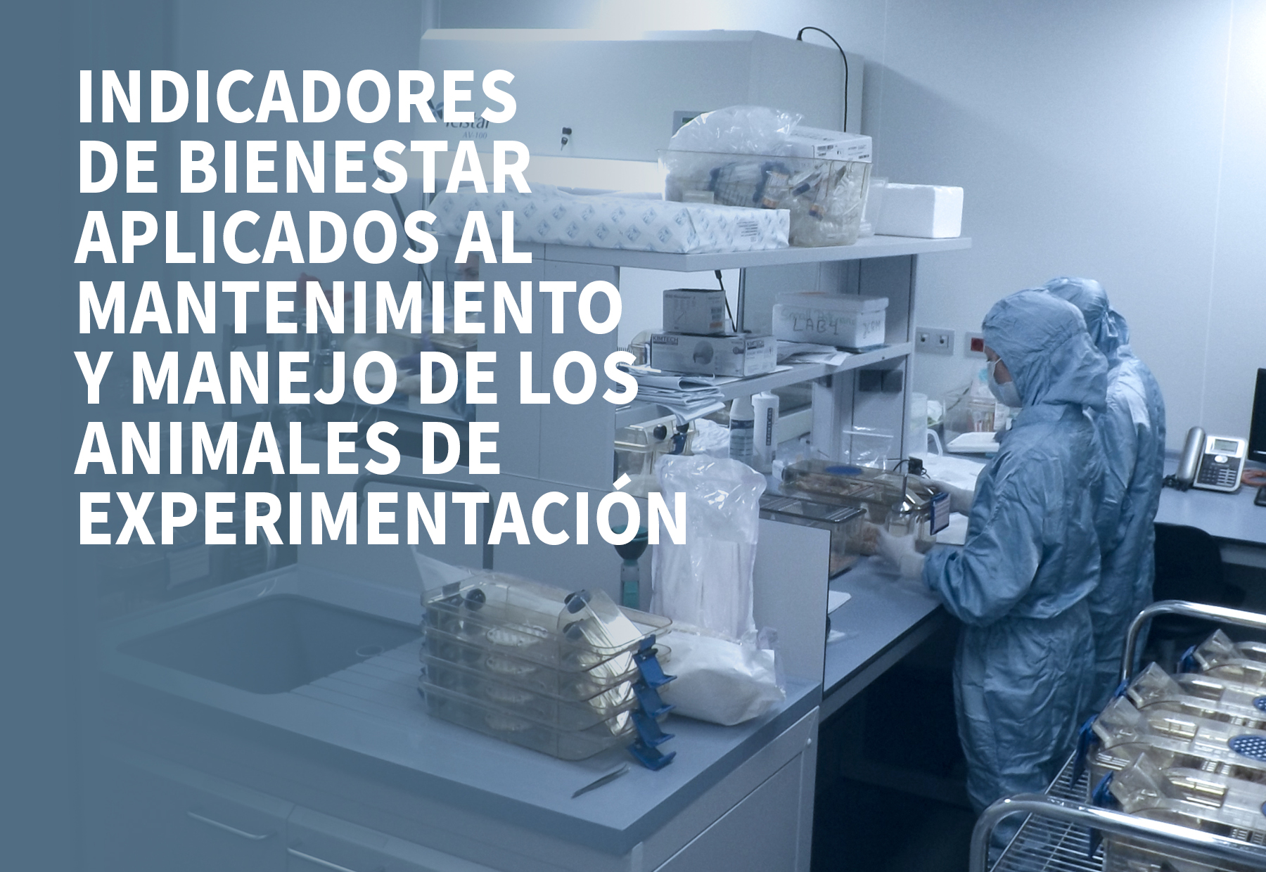 salud formacion