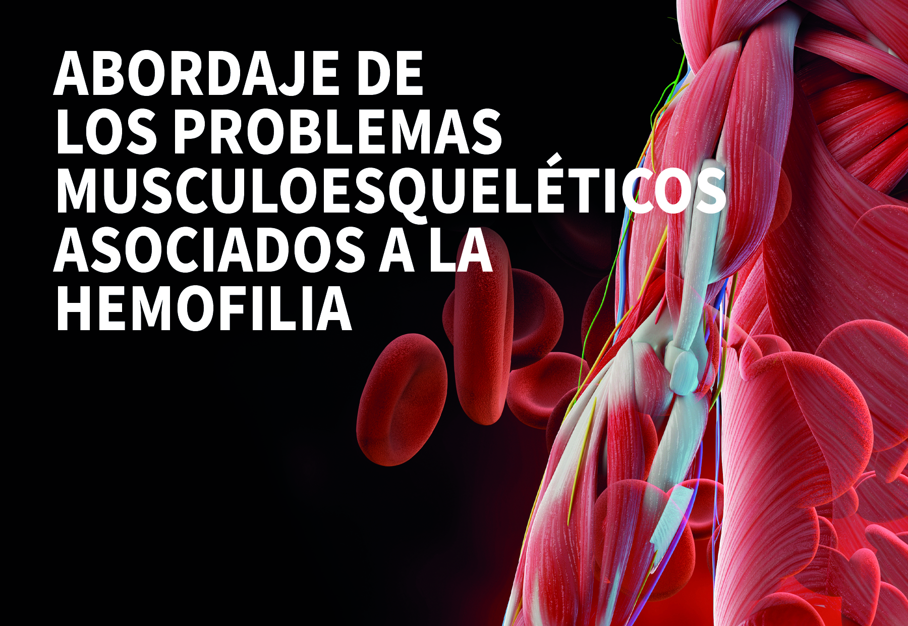 salud formacion