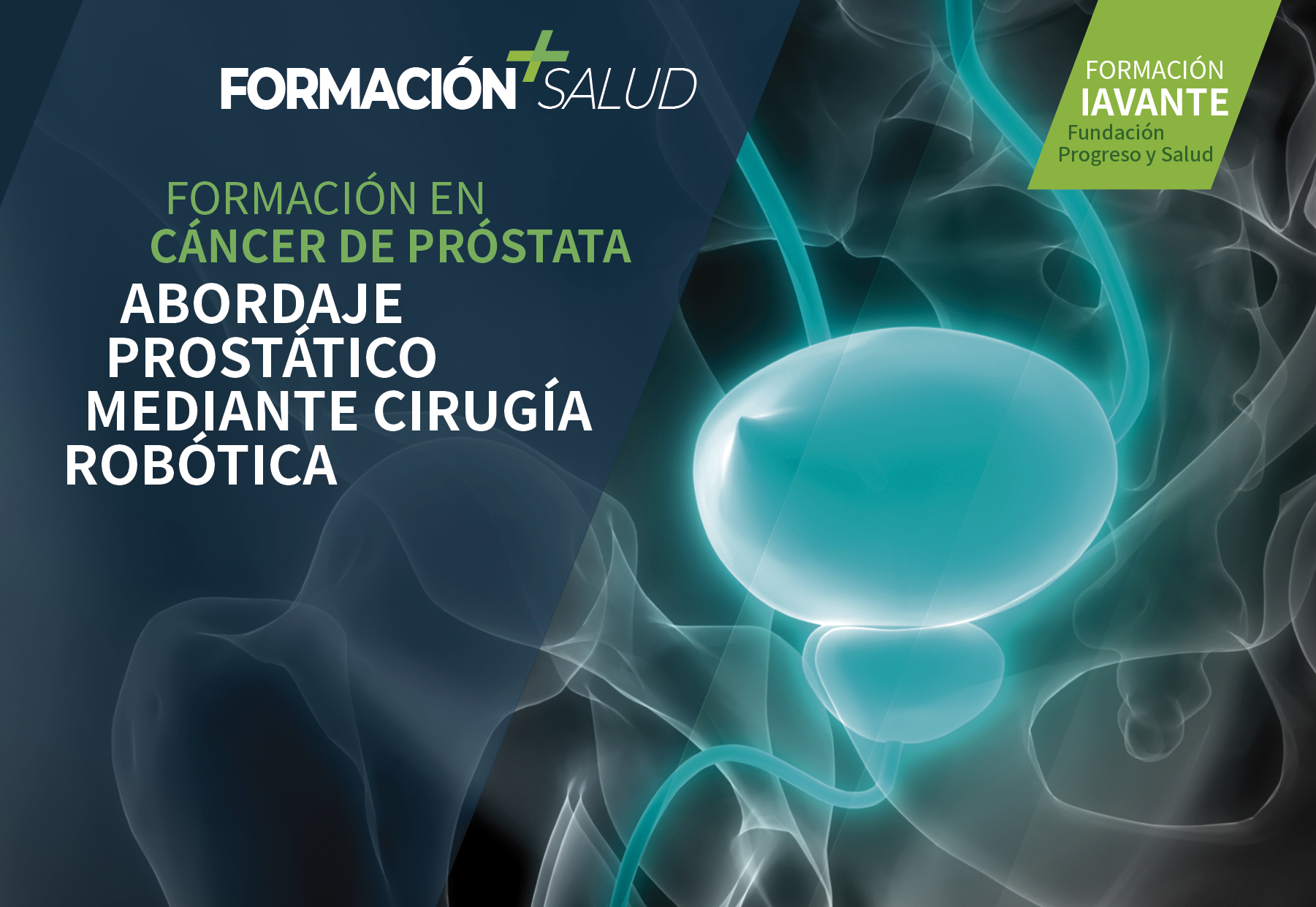 salud formacion