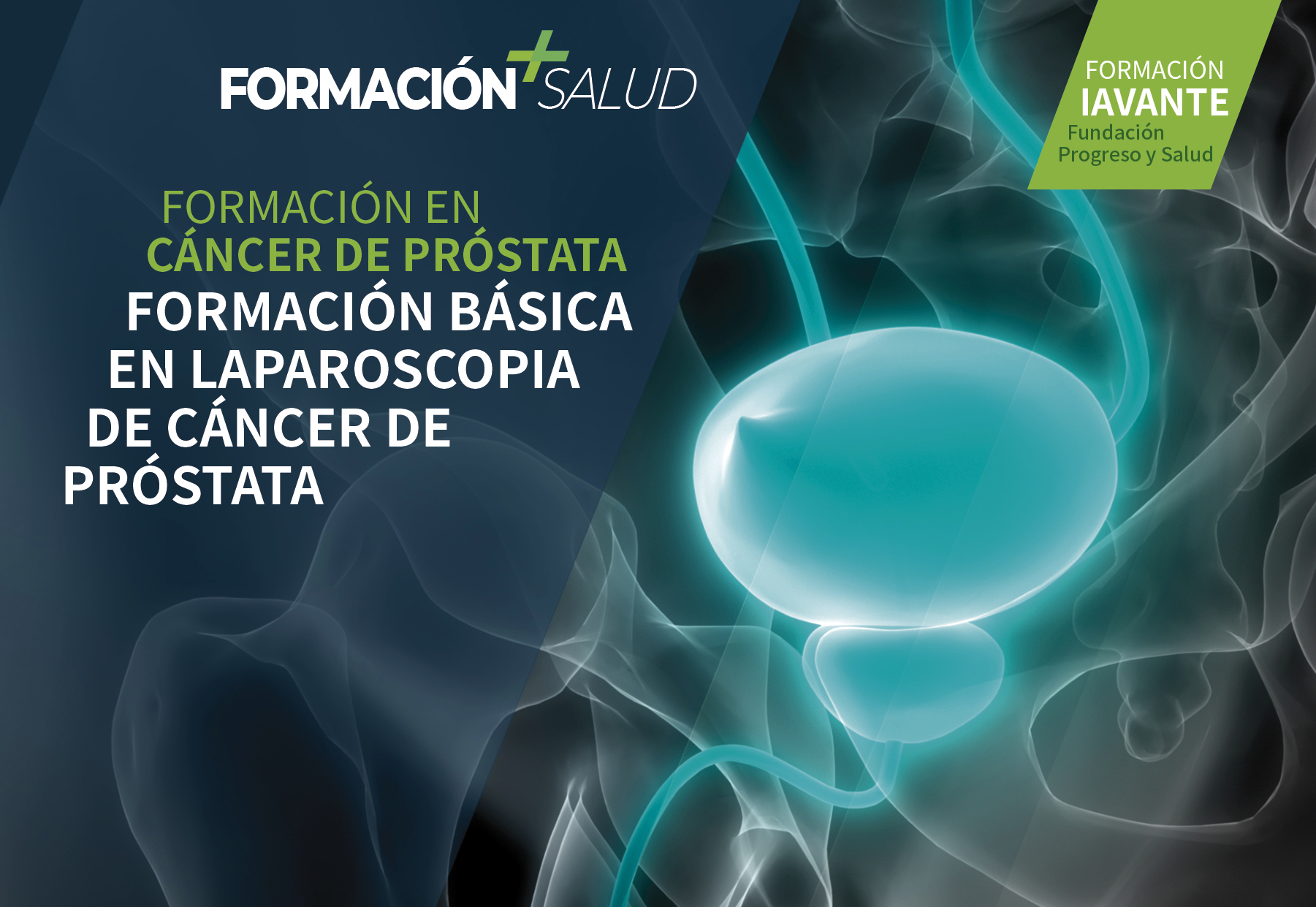 salud formacion