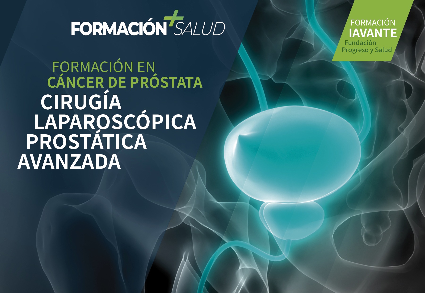 salud formacion