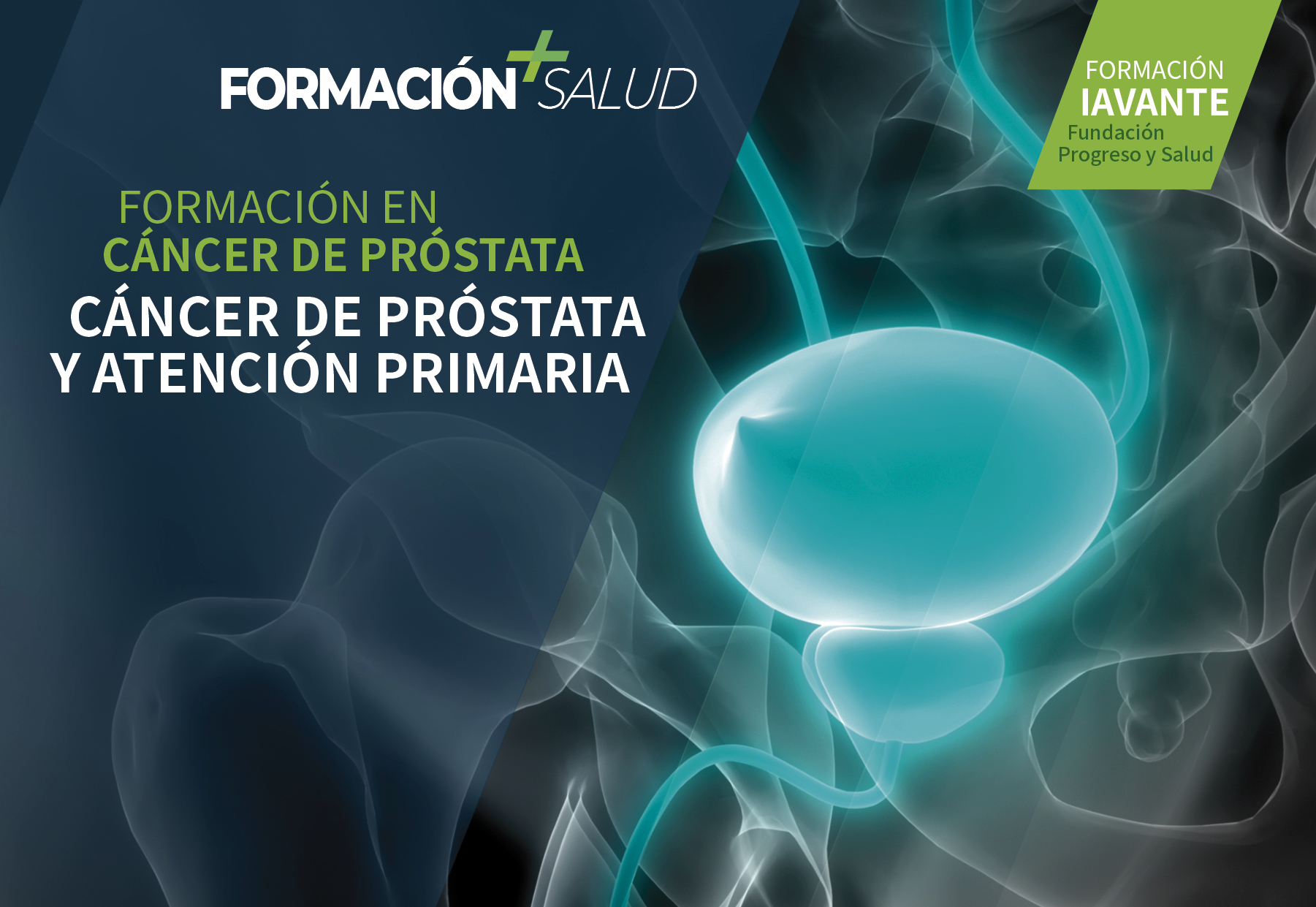 salud formacion